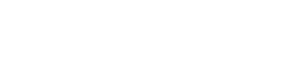 Fidelity
